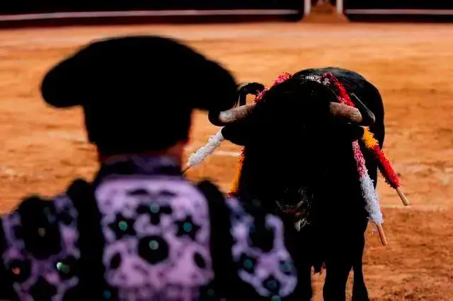 Algunos diputados aseguraron que no se puede justificar el sufrimiento animal por tradiciones culturales. FOTO: Colprensa