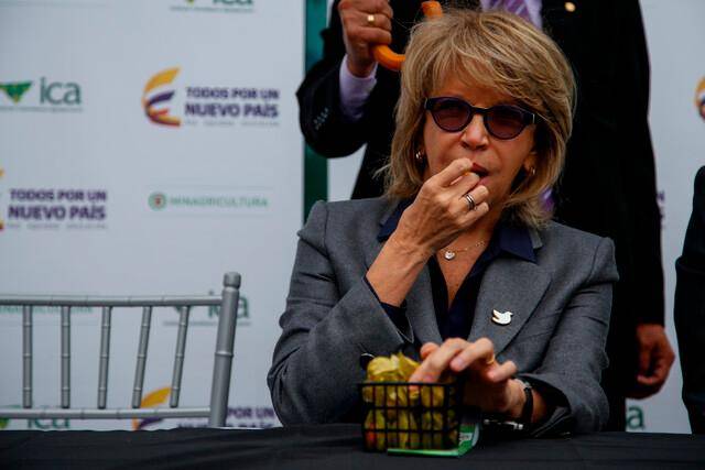 Cecilia Álvarez Correa fue ministra de Transporte, y de Industria y Comercio, durante el mandato de Juan Manuel Santos. FOTO: COLPRENSA.