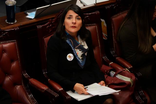 Irene Vélez ya enfrentó una moción de censura en Cámara en diciembre pasado. FOTO COLPRESNA