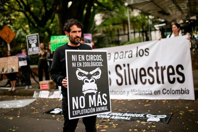 Un grupo de animalistas protestó frente a la sede del Ministerio de Medio Ambiente, en Bogotá. FOTO: COLPRENSA.