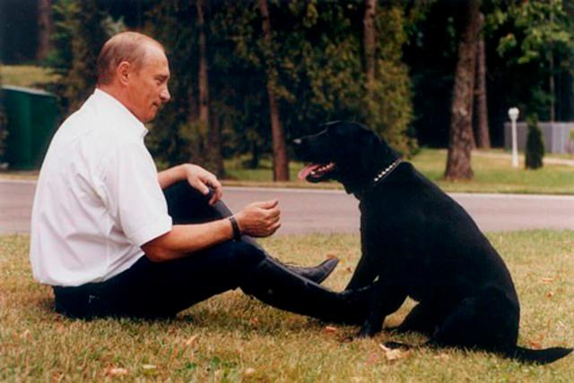 Brownie, Dylan y Comandante: boom de perros de los presidentes