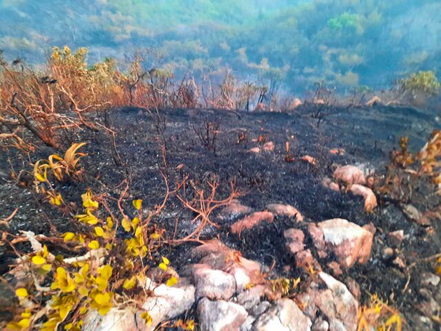 UNGR dice que se ha logrado controlar más del 50% del incendio forestal en la isla de Providencia. Foto: Colprensa. 