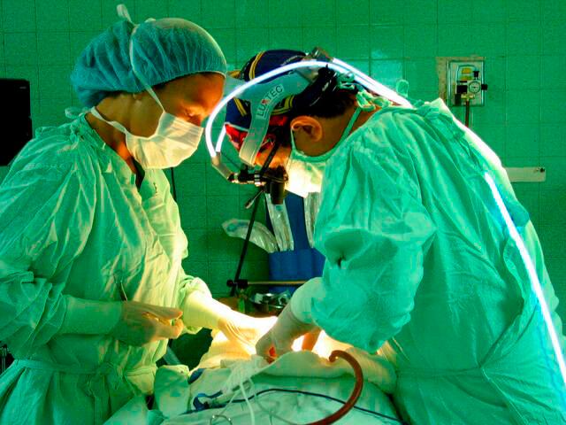 El órgano más demandado para trasplante en el país es el riñón, seguido por el de hígado. FOTO COLPRENSA
