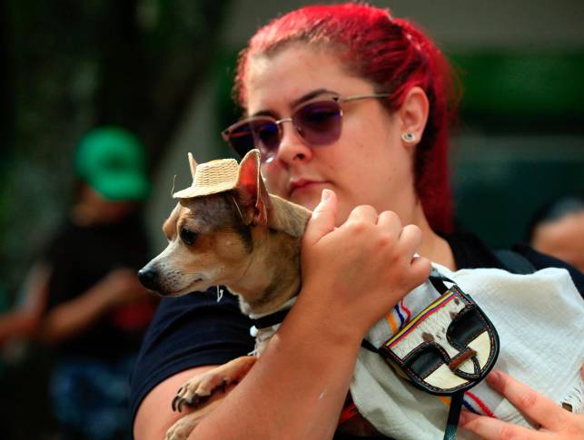 Este evento, que se ha consolidado como un símbolo de amor, respeto y conexión entre humanos y animales. FOTO: Camilo Suárez Echeverry