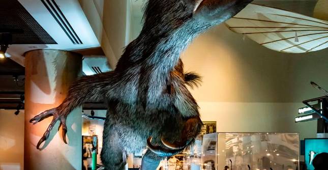 Un dinosaurio gigante en el Phillip and Patricia Frost Museum. Todas las fotos cortesía GMCVB.