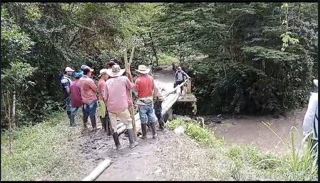 Con palos, ciudadanos de Dabeiba improvisan puente para mantener las comunicaciones y comercio. Foto: Cortesía captura de pantalla video.