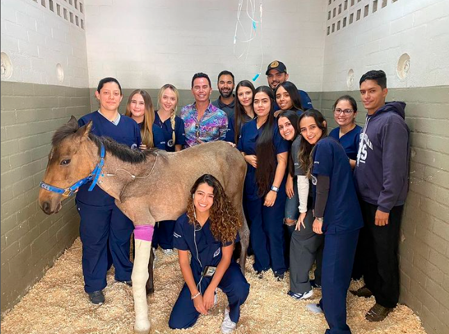 Valentino fue operado a sus 10 meses de edad por dos cirujanos ortopedistas de la Universidad CES. FOTO CORTESÍA 