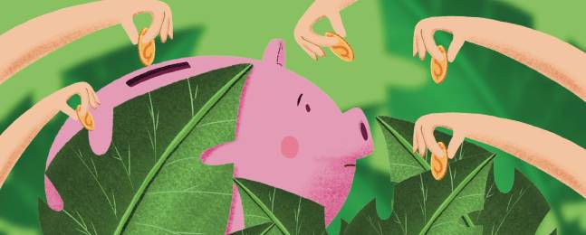 En defensa del Jardín Botánico