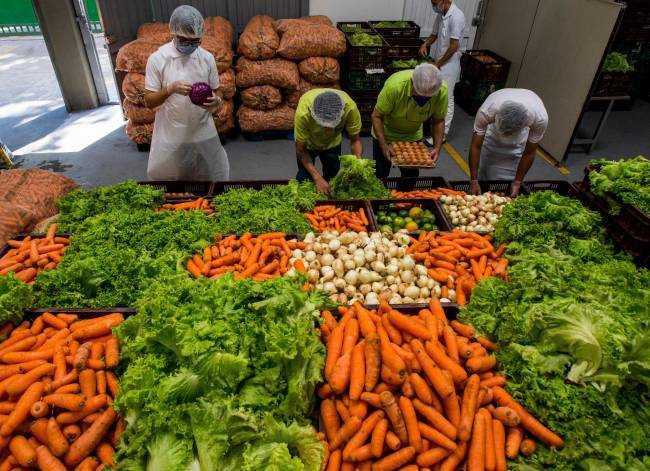 Las vitaminas se hallan principalmente en las verduras y frutas así como en lácteos y otros alimentos.