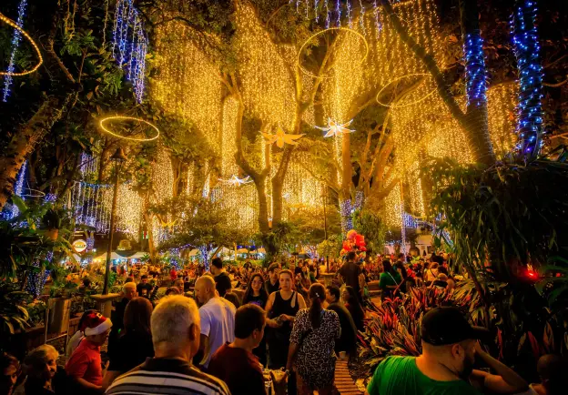 La Navidad es un tiempo de esperanza y amor que une corazones y celebra la magia de estar juntos. FOTOS EL Colombiano