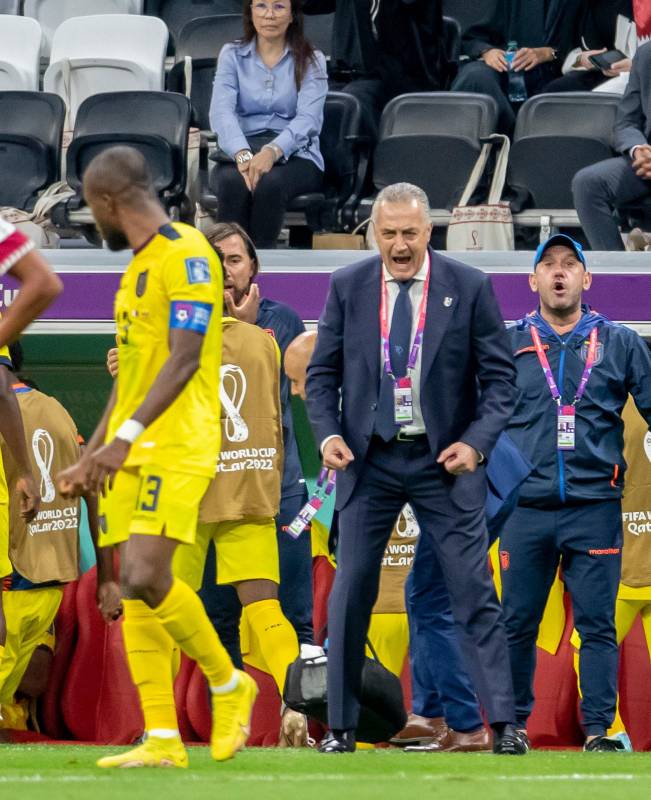 El técnico Gustavo Alfaro celebra la victoria de su equipo, en el arranque del Mundial de Qatar. Foto: JUAN ANTONIO SÁNCHEZ.