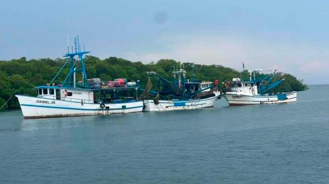 Parte de la flotilla de barcos que estaban a nombre de la empresa de Ángel Navarro. FOTO POLICÍA