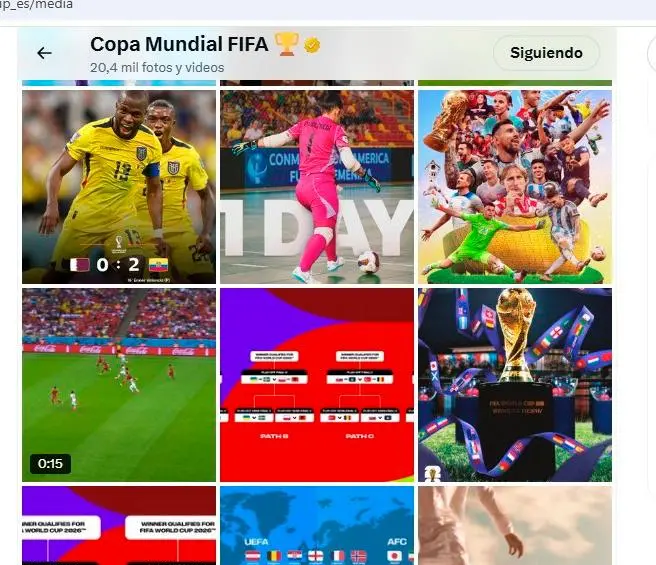 En esta imagen se ven las publicaciones de la página de la Copa del Mundo en español hechas el 20 de noviembre, día que se subió el post. Ya no aparece. Foto: captura de pantalla 