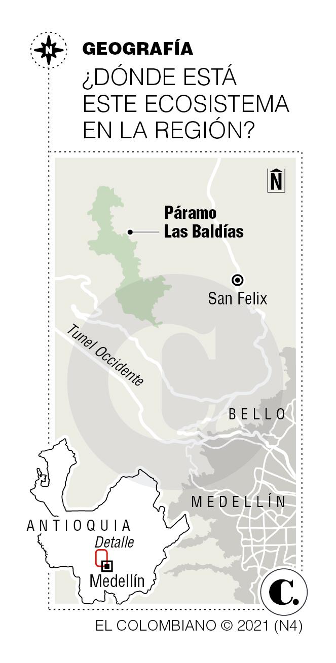 InfogrÃ¡fico