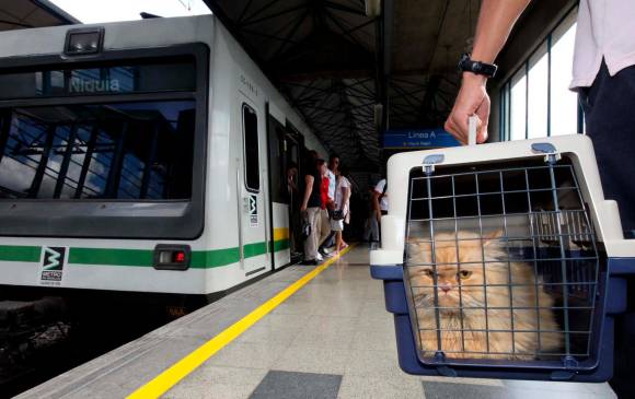 En Colombia las autoridades presentaron las publicaciones sobre el transporte de animales de compañía y mascotas. FOTO Manuel Saldarriaga