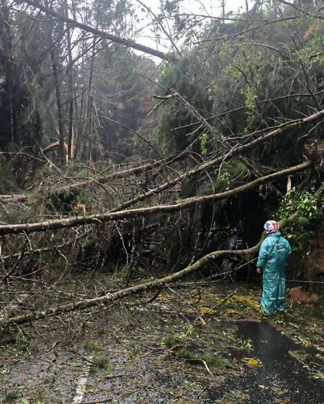 Por la caída de varios árboles de gran tamaño y postes de redes eléctricas, la Loma El Escobero está cerrada desde el aguacero del jueves. Foto: cortesía.