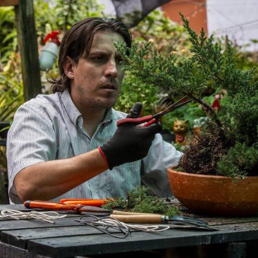 Damián Castillo es un maestro bonsaísta y un botánico formado desde sus experiencias de la niñez. Llegó a Medellín a perseguir un nuevo proyecto de vida y creó Ave del Paraíso junto con su pareja FOTO: Julio Herrera