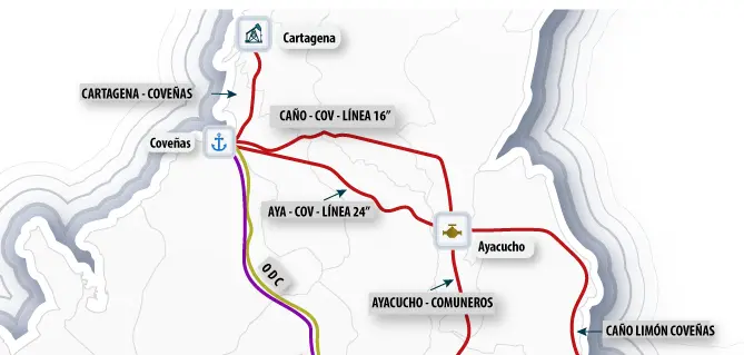 InfogrÃ¡fico