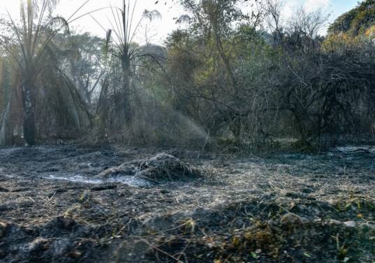 Ya van miles de hectáreas afectadas por los incendios forestales en diferentes departamentos del país. Foto: Colprensa.