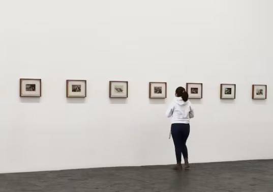 Los grabados de la serie Los desastres de la guerra son exhibidos dentro de Fragmentos, el contramonumento que Doris Salcedo construyó en Bogotá con armas entregadas por las Farc. FOTO: Cortesía.
