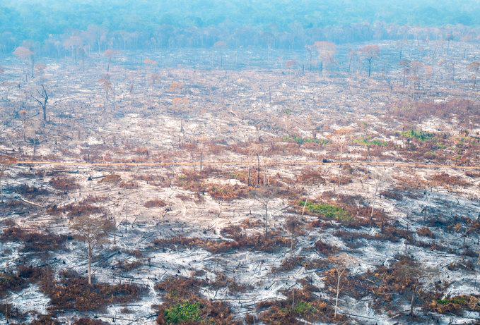 Diego Molano, ministro de Defensa, indicó el viernes que la conflagración en el Chibiriquete fue provocada por “manos criminales” de la estructura Miller Perdomo de las disidencias de las Farc, que con incendios y deforestaciones buscan “apropiarse de las tierras”. Foto: CORTESÍA MINDEFENSA