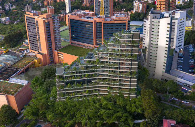 Wake BioHotel busca posicionarse como un símbolo de esta transformación, ofreciendo una experiencia que va más allá del lujo, integrando ciencia, sostenibilidad, cultura y longevidad. FOTO: Cortesía.