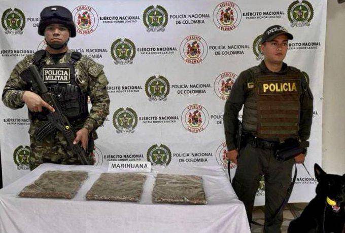 Incautación de marihuana en Antioquia. Foto: cortesía Séptima División del Ejército Nacional