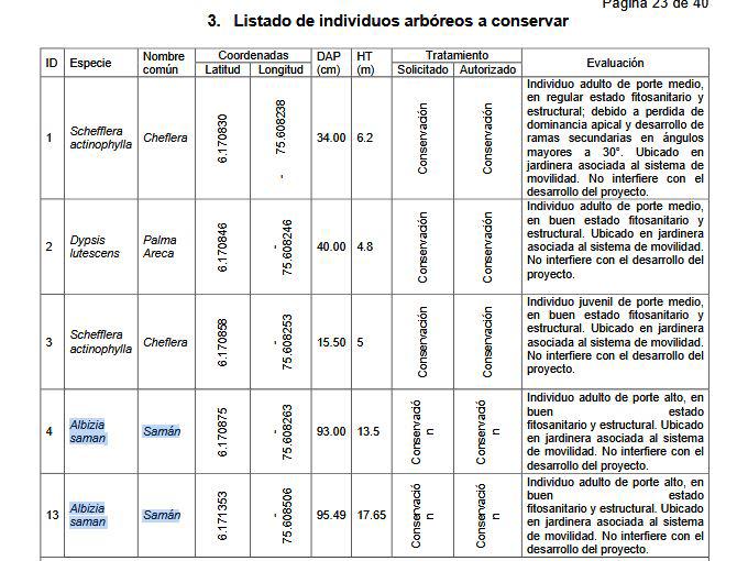 Lista de los árboles de la zona que deberán conservarse sin ningún tipo de tala. FOTO: imagen tomada del informe del Área Metropolitana.