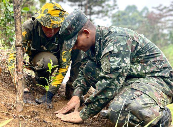 Imagen de referencia de una jornada de siembra en el Bosque de los Héroes de Medellín. FOTO: Cortesía.