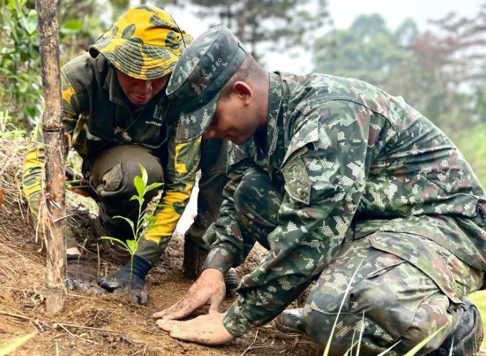 Imagen de referencia de una jornada de siembra en el Bosque de los Héroes de Medellín. FOTO: Cortesía.