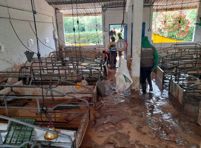 Así quedó la granja luego del paso del agua. FOTO: CORTESÍA