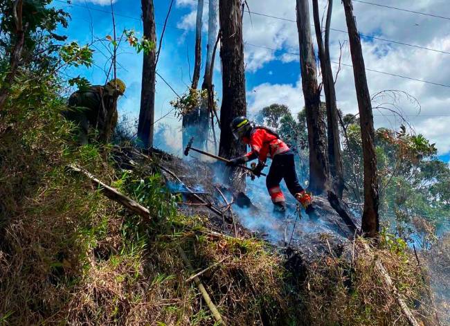 Incendio en Santa Elena fue controlado tras más de 10 horas de labores ...