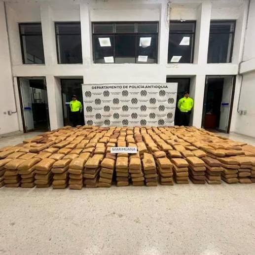 La marihuana incautada en Támesis, suroeste antioqueño. <b>FOTO POLICÍA</b> 