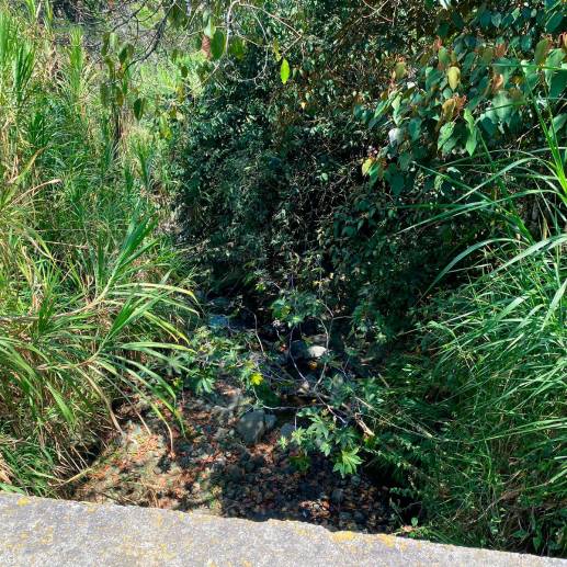 Zona donde fue encontrado hombre sin vida. FOTO: Cortesía