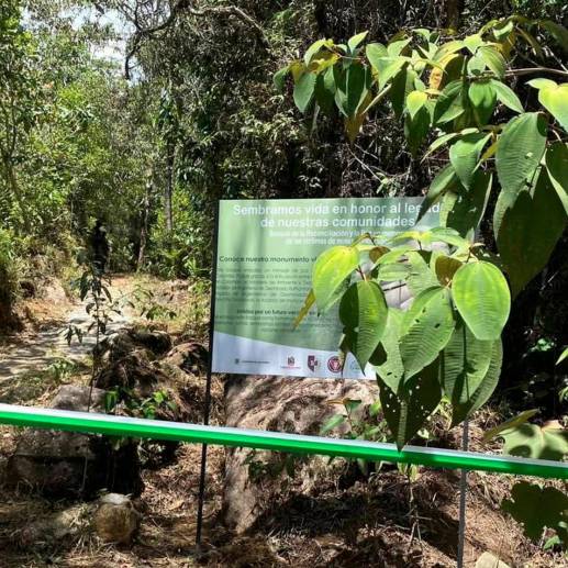El sendero tiene 12,47 hectáreas y es clave para varias especies nativas. FOTO: Cortesía
