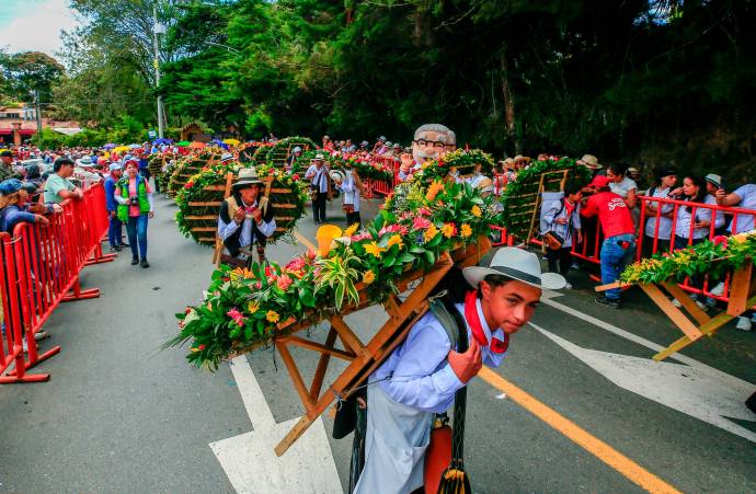 La 36ª edición del Desfile de Silleteritos en el barrio La Floresta se erigió como uno de los momentos más conmovedores y significativos de la Feria de las Flores. Foto: Camilo Suárez Echeverry
