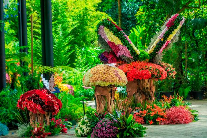 Más de 2.000 plantas en exhibición y más de 300 especies de orquídeas y flores hacen parte de una muestra sin precedentes, en la que participan 22 asociaciones de orquideología provenientes de distintas regiones de Colombia. Foto: Camilo Suárez Echeverry