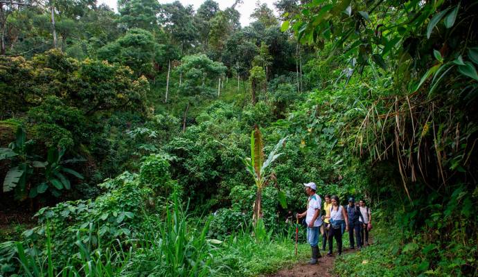  El recorrido está trazado por 11 paradas en un camino ancestral al que llegaron sus primeros pobladores, tanto campesinos como indígenas, en 1820. Foto: Esneyder Gutiérrez 