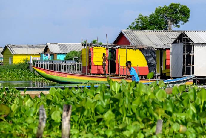 Sus casas de madera y techos de lata, que se levantan sobre pilotes en medio de la ciénaga, han resistido décadas de adversidades, desde la violencia del conflicto armado hasta las inclemencias de la naturaleza. Foto: AFP