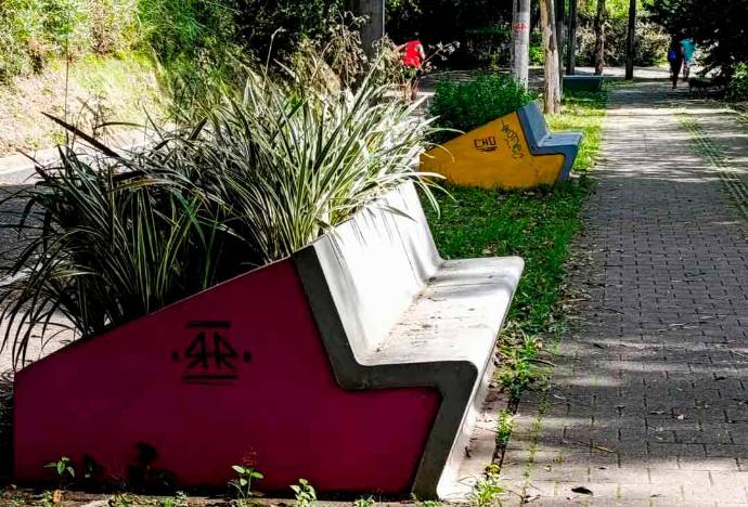 En total, fueron intervenidas más de 28 bancas con vivos y variados tonos, que ahora no solo ofrecen descanso a los visitantes, sino también una experiencia estética en armonía con el entorno. Fotos Julio César Herrera.