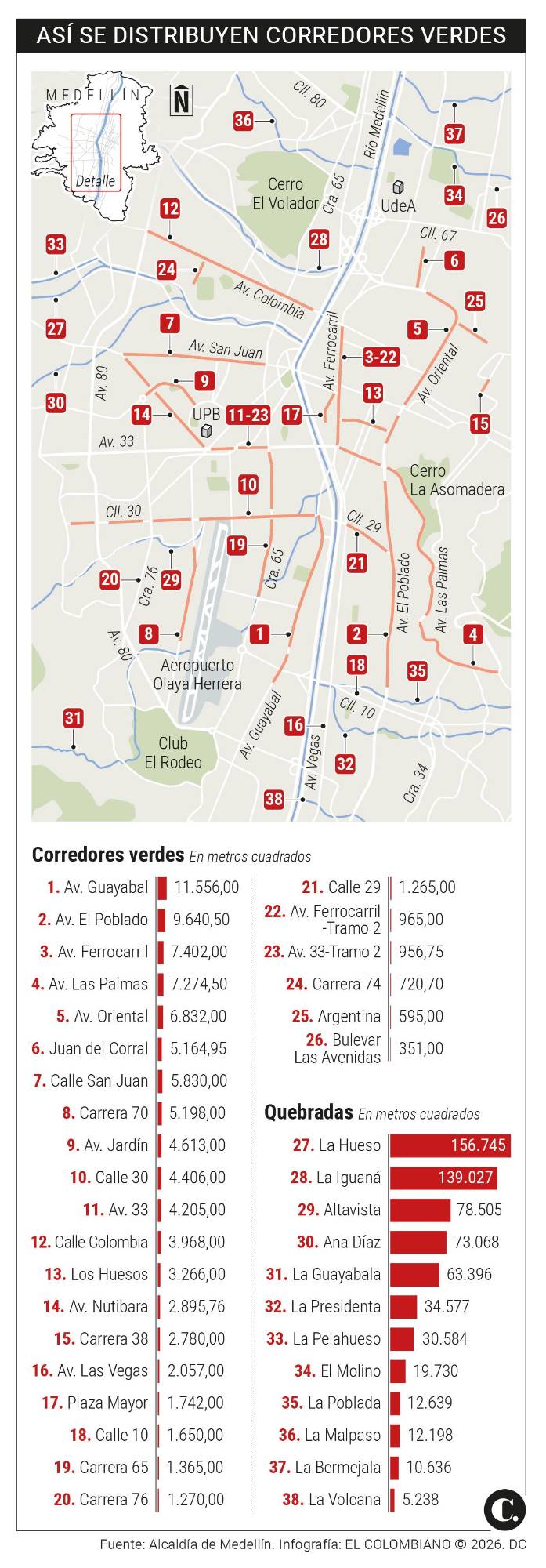 InfogrÃ¡fico