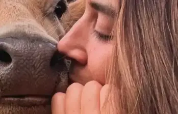 Una vaca le dio vida a un santuario de segundas oportunidades