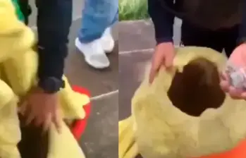 En video | Acusan a policía de meter marihuana dentro de pertenencias de artista callejero