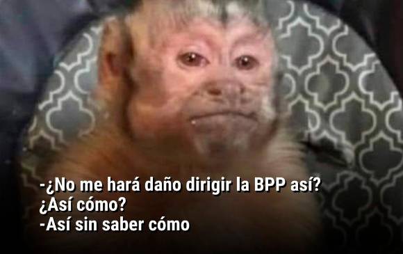 Memes que le pusieron humor a las noticias de 2021