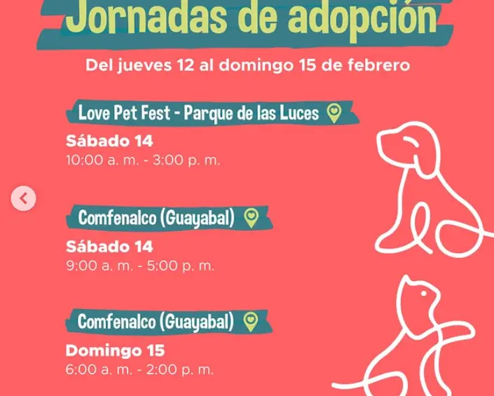 Love Pet Fest: este sábado hay jornada de adopción y desparasitación para los animales de Medellín