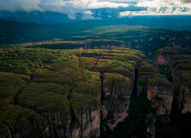 La Serranía del Chiribiquete es la primera área protegida con ...