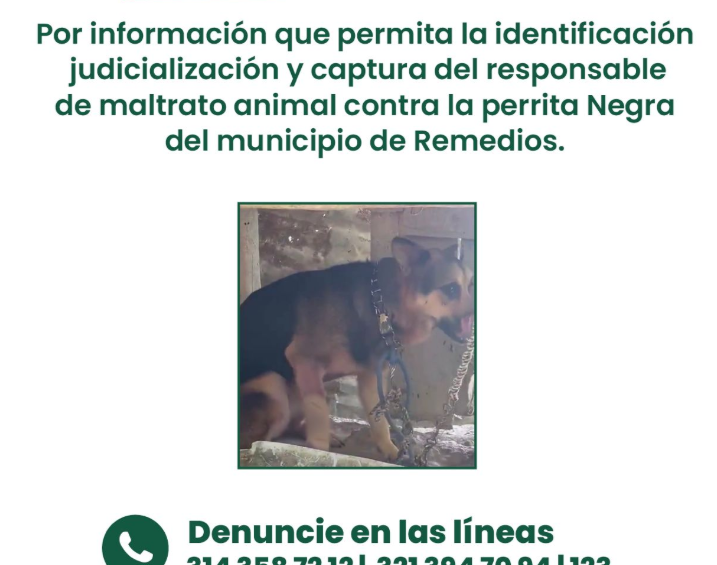 Cartel de recompensa de la Gobernación de Antioquia. Foto: cortesía.