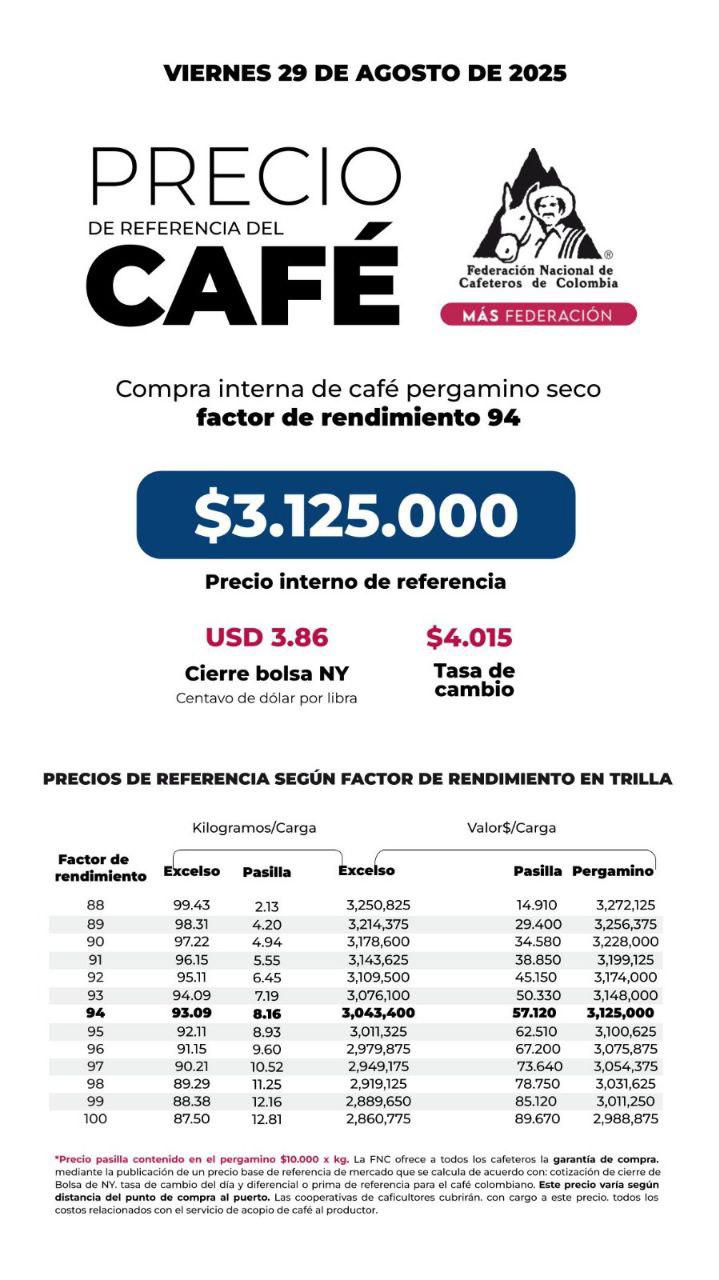 InfogrÃ¡fico