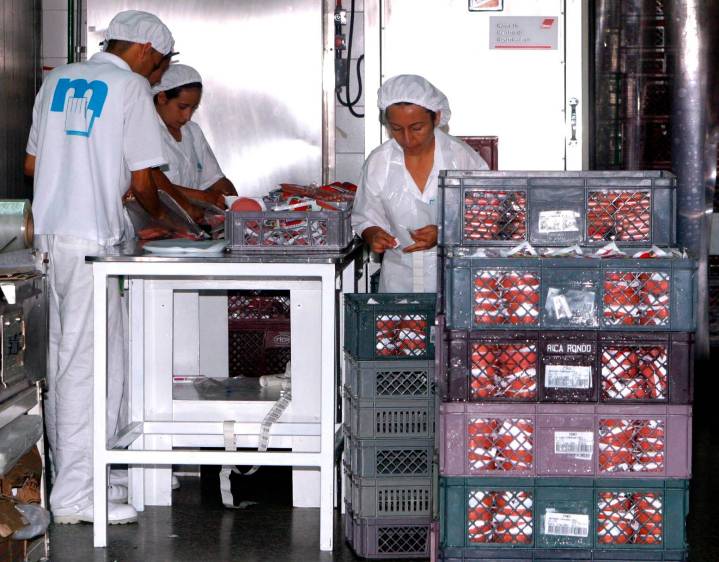 Zenú tiene la mejor planta de producción de alimentos cárnicos en Colombia, con calidad certificada internacionalmente bajo la norma ISO 9001:2000. FOTO el colombiano
