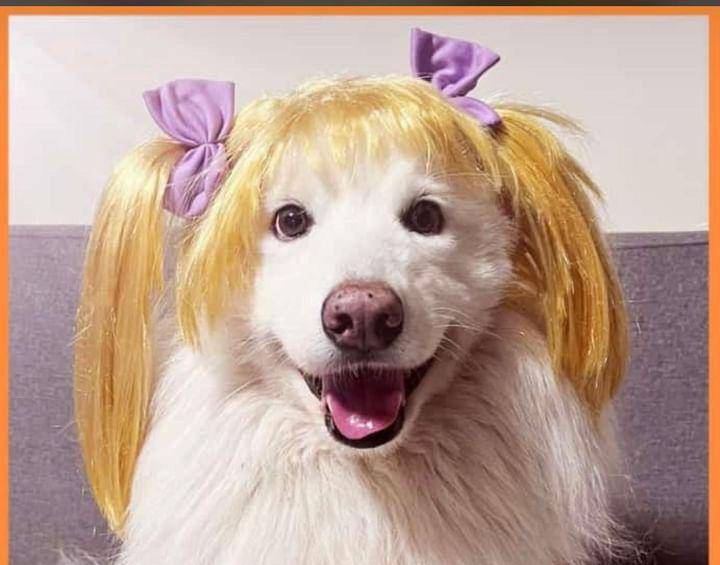 Angélica, el personaje consentido de “Los Rugrats”. Foto: redes sociales